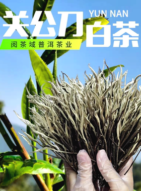 云南关公刀白茶古月银针冰岛古树