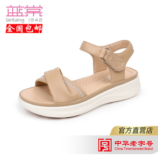 蓝棠羊皮c1078简约商场同款甜美舒适厚底魔术贴户外女夏休闲凉鞋