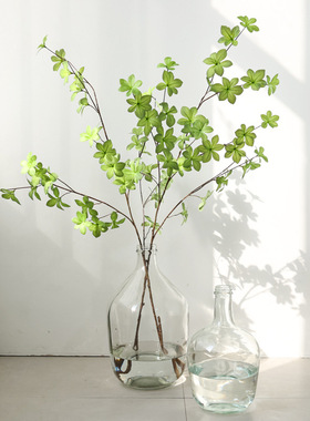 高端真植物日本吊钟多瓣叶 北欧绿植马醉木盆栽家居装饰真树