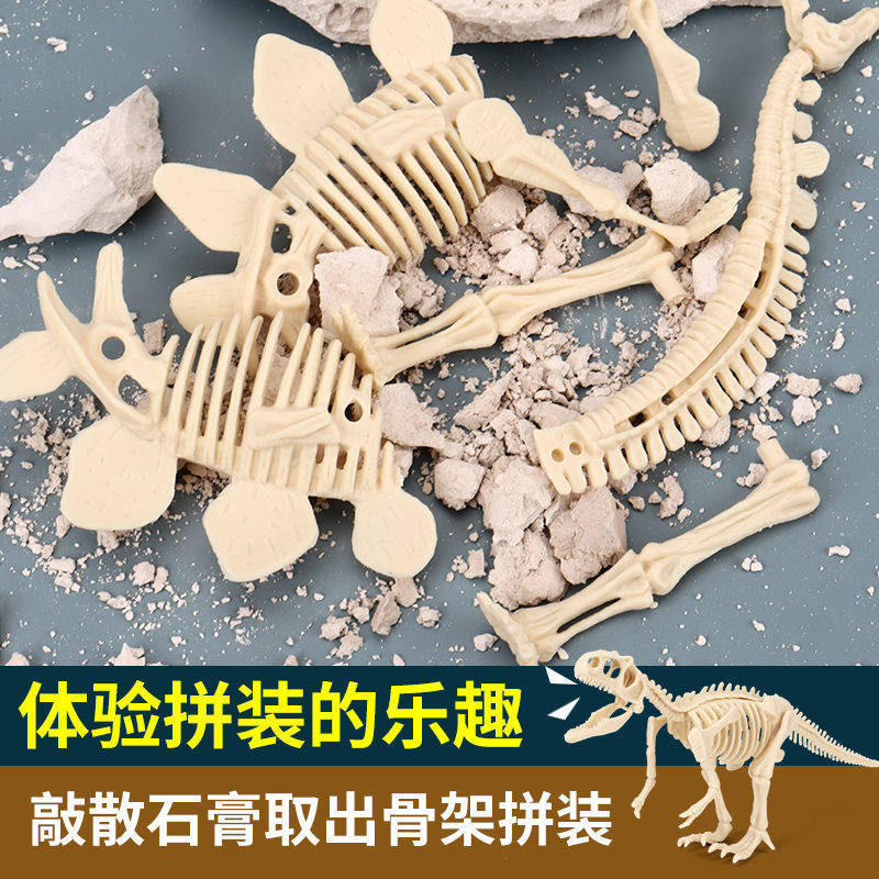恐龙化石霸王龙骨架模型儿童手工diy制作挖宝石男孩考古挖掘玩具图片