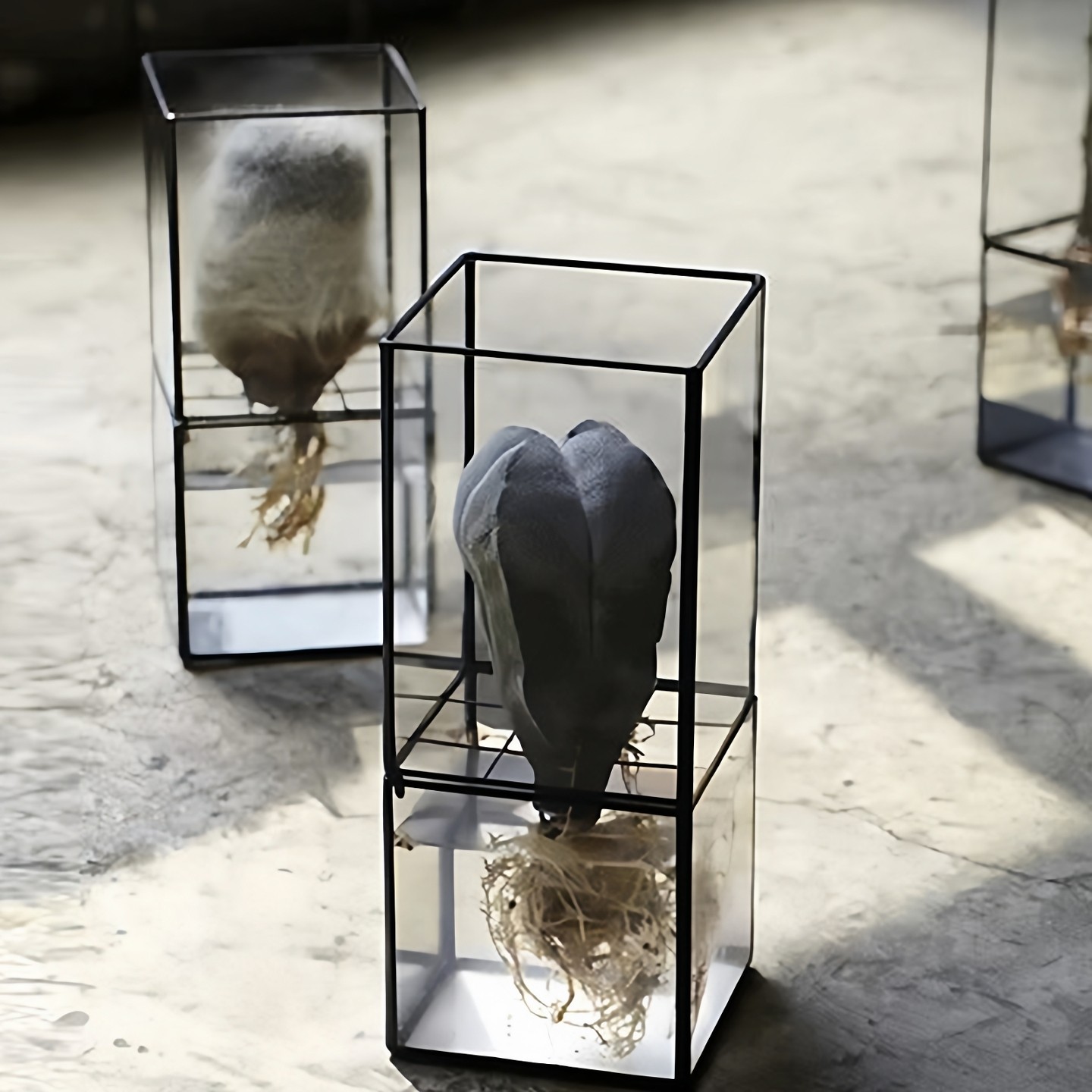 北欧水培多肉植物花盆玻璃花房花器复古简约插花花瓶韩式多肉花盆,鲜花速递/花卉仿真/绿植园艺,花盆,淘宝优惠券,粉丝福利购,淘宝优惠卷