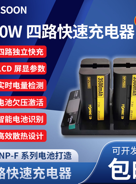 致迅TOPRIG 100W快充PD快速充电器NPF970/F550电池FZ100四路充E6P