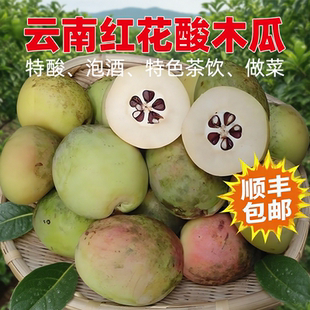 酸木瓜 云南新鲜青色酸木瓜闻香木瓜香味车载特色精选大果顺丰
