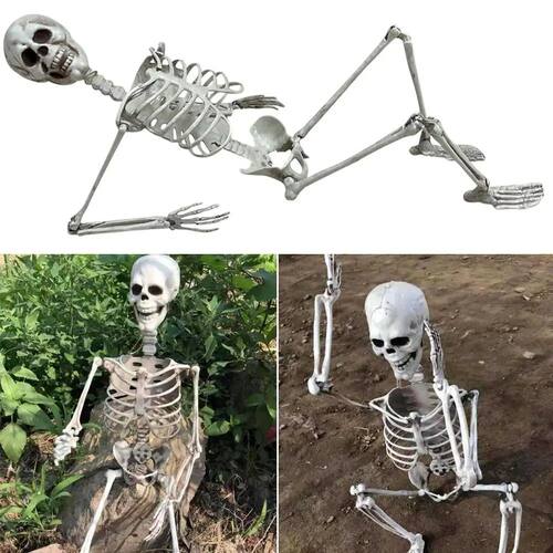 Posable Halloween Skeleton with Movable Joints - Life Size A