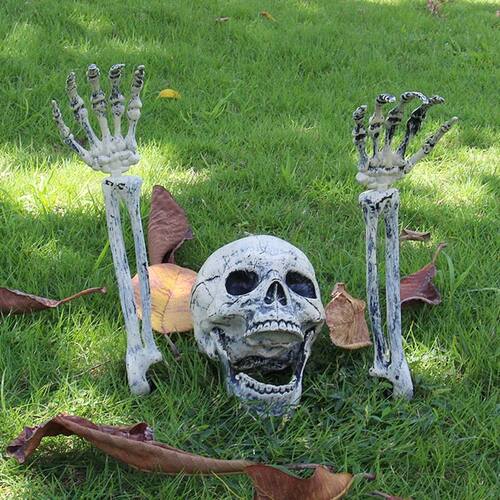 Halloween Realistic Skull Skeleton Head Human Hand Arms for