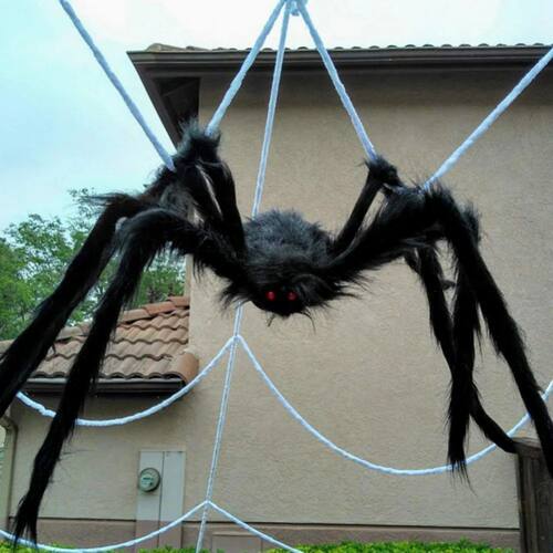 30-200CM Black Scary Giant Spider Huge Spider Web Halloween