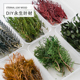 DIY天然盒装 叶材尤加利叶兔尾草松柏叶龙须草苹果叶情人草千层叶