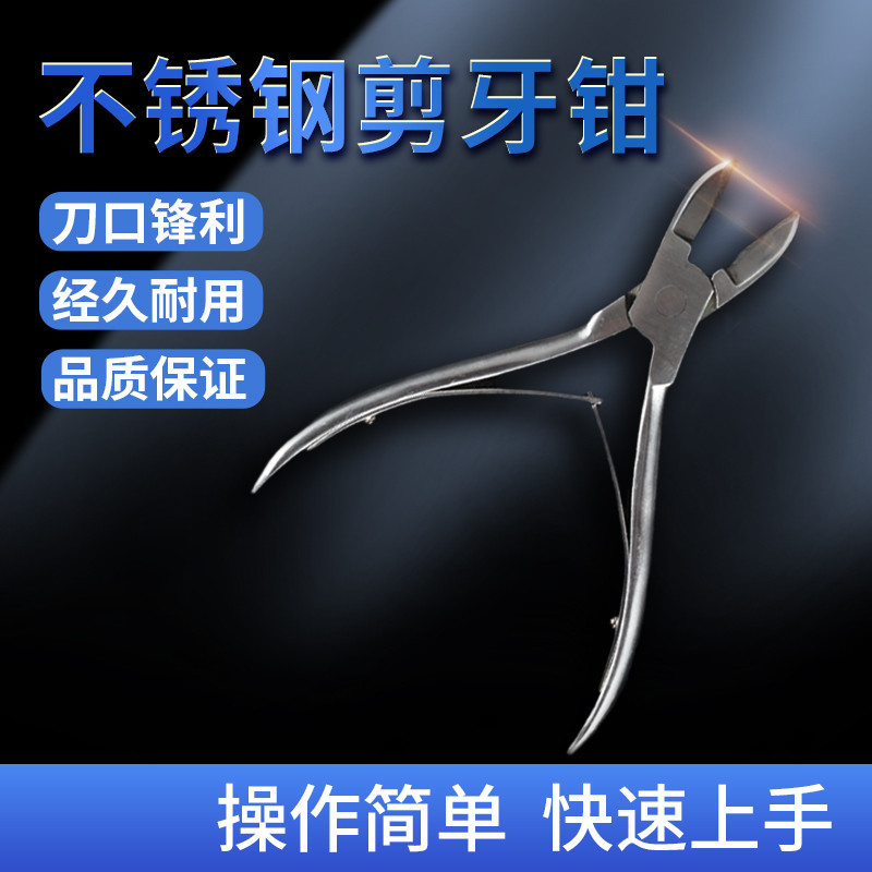 倍弗农不锈钢剪牙钳猪用器械兔仔猪剪齿钳断牙钳猪场养猪设备器械