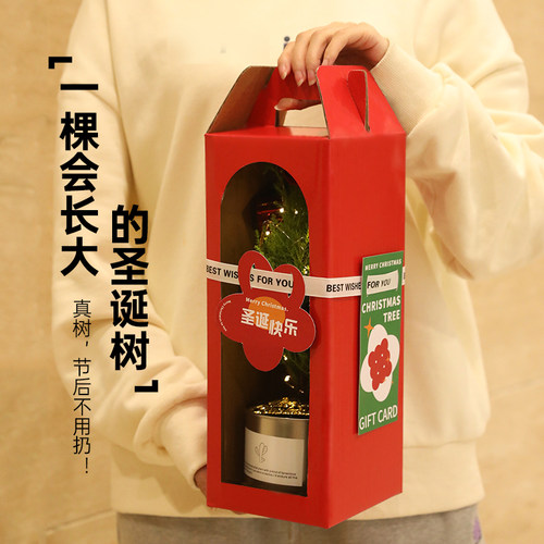 一颗会长大的圣诞树【顺丰包邮】