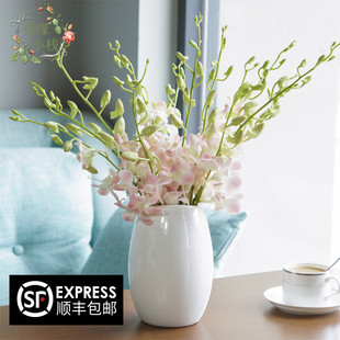 云南昆明泰国进口水养鲜花洋兰杨兰千代兰万代兰插花装饰鲜切花