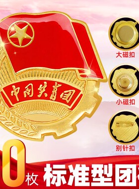 团徽2.0cm标准款正版青少年团团徽学生用团徽胸针别针式强磁铁款