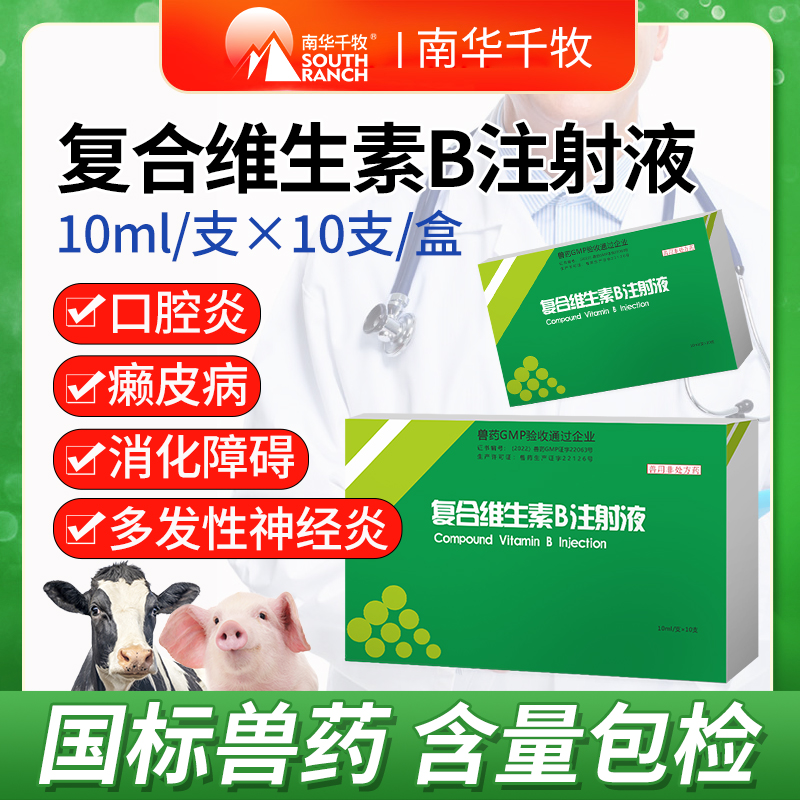 兽药复合维生素b兽用口腔炎针剂