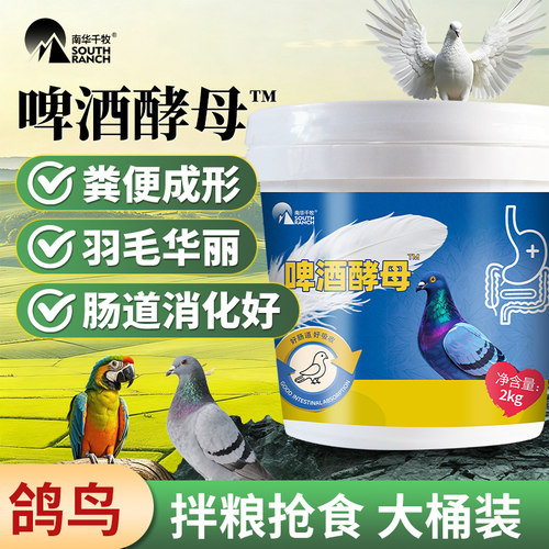 赛鸽信鸽鹦鹉鸟鸽子用啤酒酵母