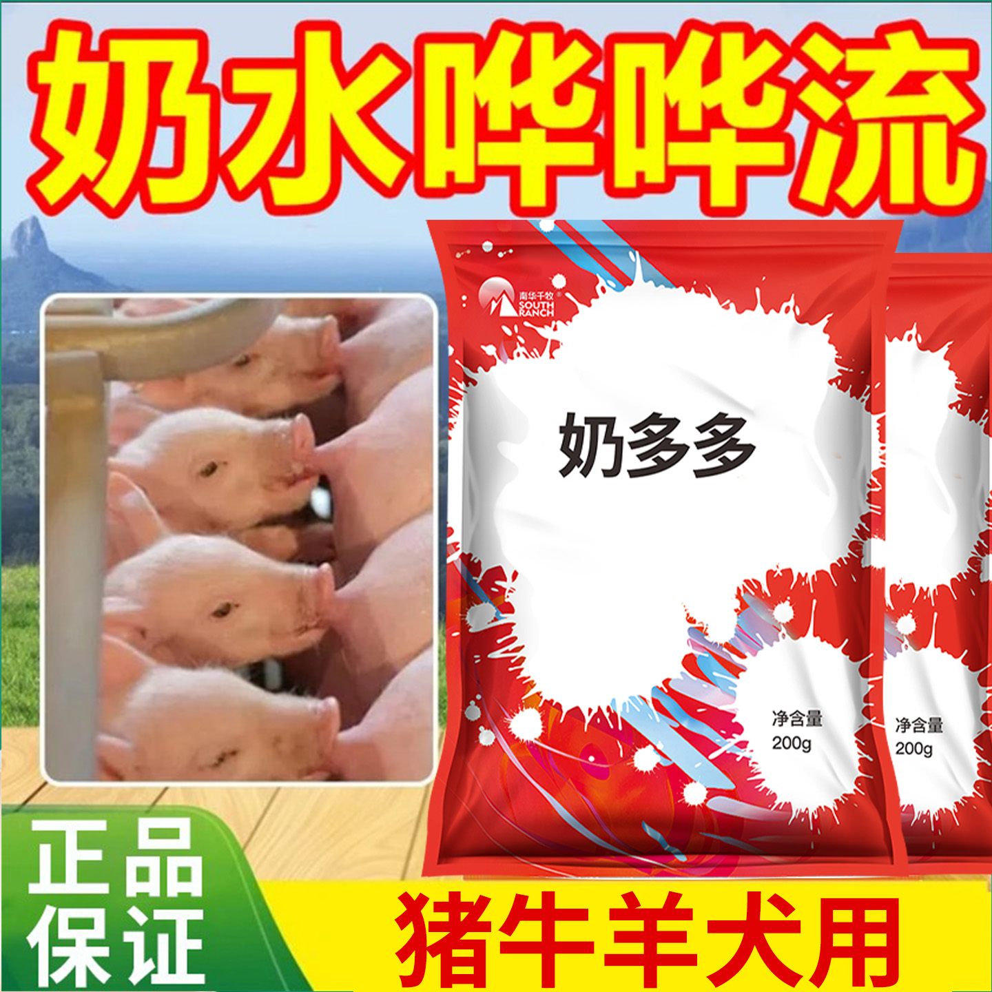 兽用催奶多多母猪牛羊产后