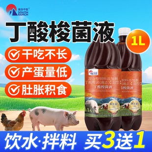 丁酸梭菌原液兽用鸡鸭鹅仔猪牛羊肠道益生菌种饲料补充营养菌种