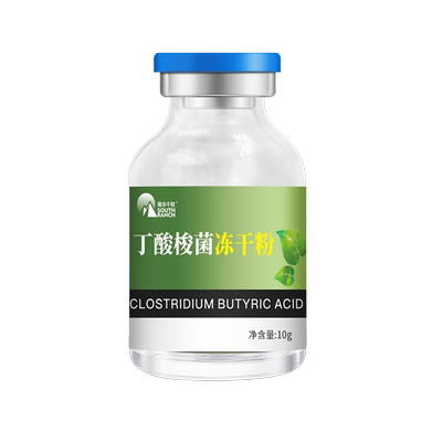 蟹塘对虾调节肠道白便丁酸梭菌