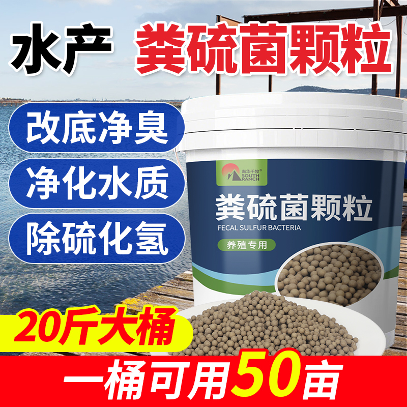 南华千牧粪硫菌颗粒水产养殖降解硫化氢调水黑泥底净臭生物底改王