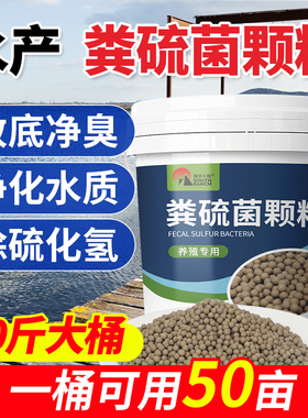 南华千牧粪硫菌颗粒水产养殖降解硫化氢调水黑泥底净臭生物底改王