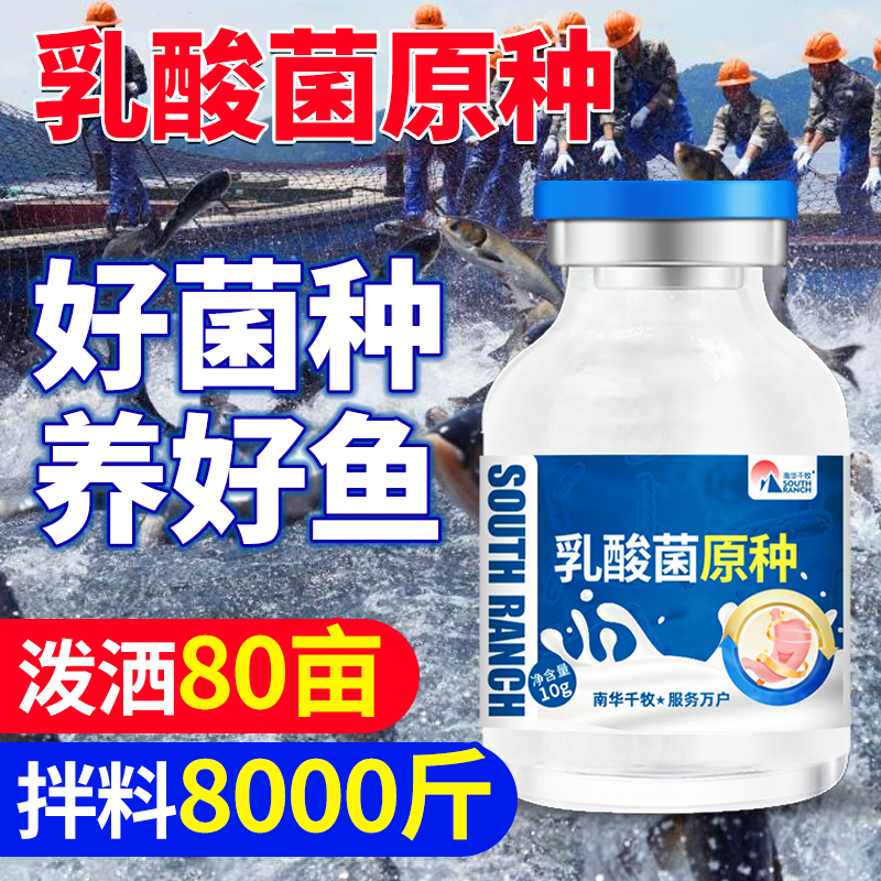 乳酸菌原种水产养殖专用菌种鱼塘虾蟹塘调水净水调节肠道降低ph值,宠物/宠物食品及用品,其他益生菌,淘宝优惠券,粉丝福利购,淘宝优惠卷