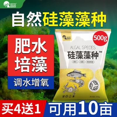 南华千牧硅藻藻种水产养殖小球藻绿藻鱼虾蟹水产复合藻种调水肥水