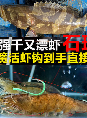 活虾钩加粗千又漂虾弹簧不伤虾