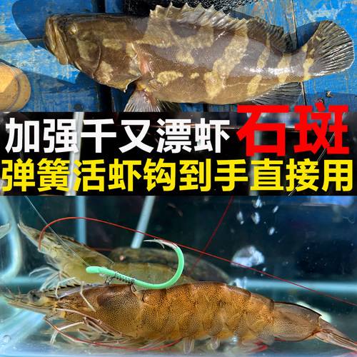 活虾钩加粗千又漂虾弹簧不伤虾