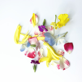 微绿新款中国大陆田园 新鲜草 缤纷混合食用花瓣30g盒 西餐摆盘