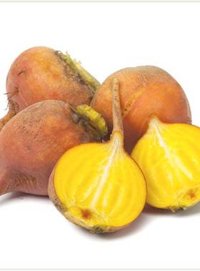 西餐沙拉特色食材 Golden Beetroot 黄金条纹小菜头 约30-80g/个