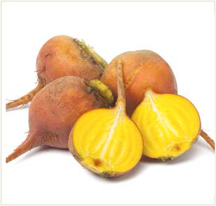 西餐沙拉特色食材 Golden Beetroot 黄金条纹小菜头 约30-80g/个