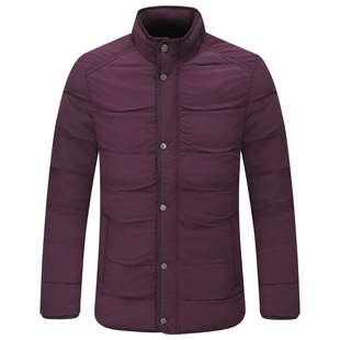 Y1245路易换季断码清仓冬季男简约紫红色92.8%白鸭绒立领羽绒服