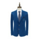 清仓春秋款 蓝色两粒扣西装 男士 职业装 外套 商务绅士正装 H1389断码