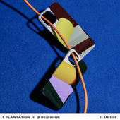 二川井 CapsuleCollection苹果光面手机壳iPhone13