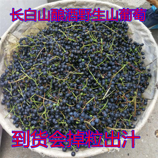 东北野生山葡萄小粒冷冻做葡萄酒酵素果汁4斤装包邮过季发冷冻果