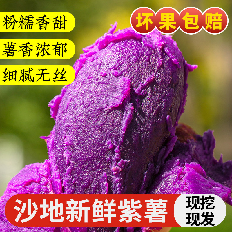紫薯现挖板栗红薯番薯地瓜蜜薯糖心10斤农家自种山芋香薯新鲜蔬菜