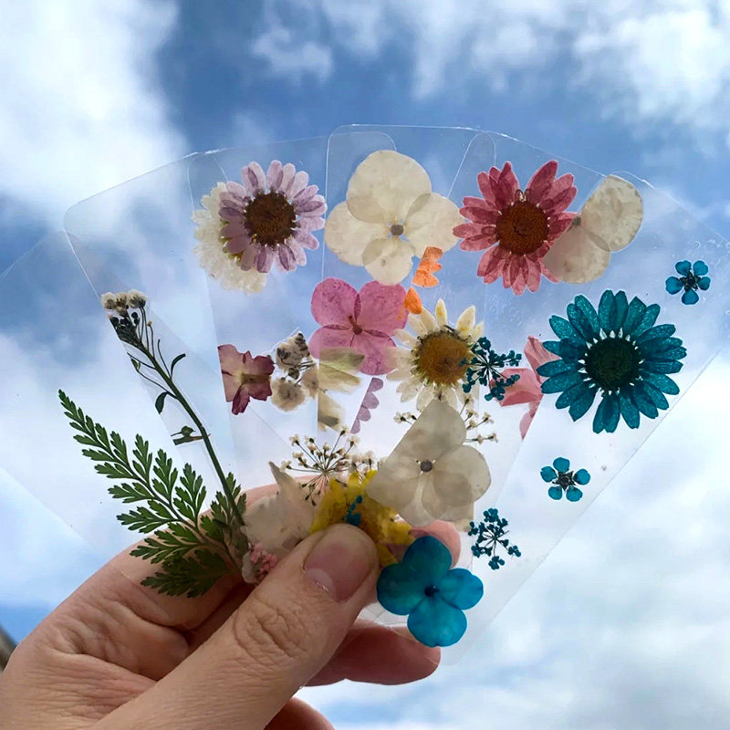 押花书签diy材料透明小瓶子干花标本贴幼儿园手工自制真花压花瓣