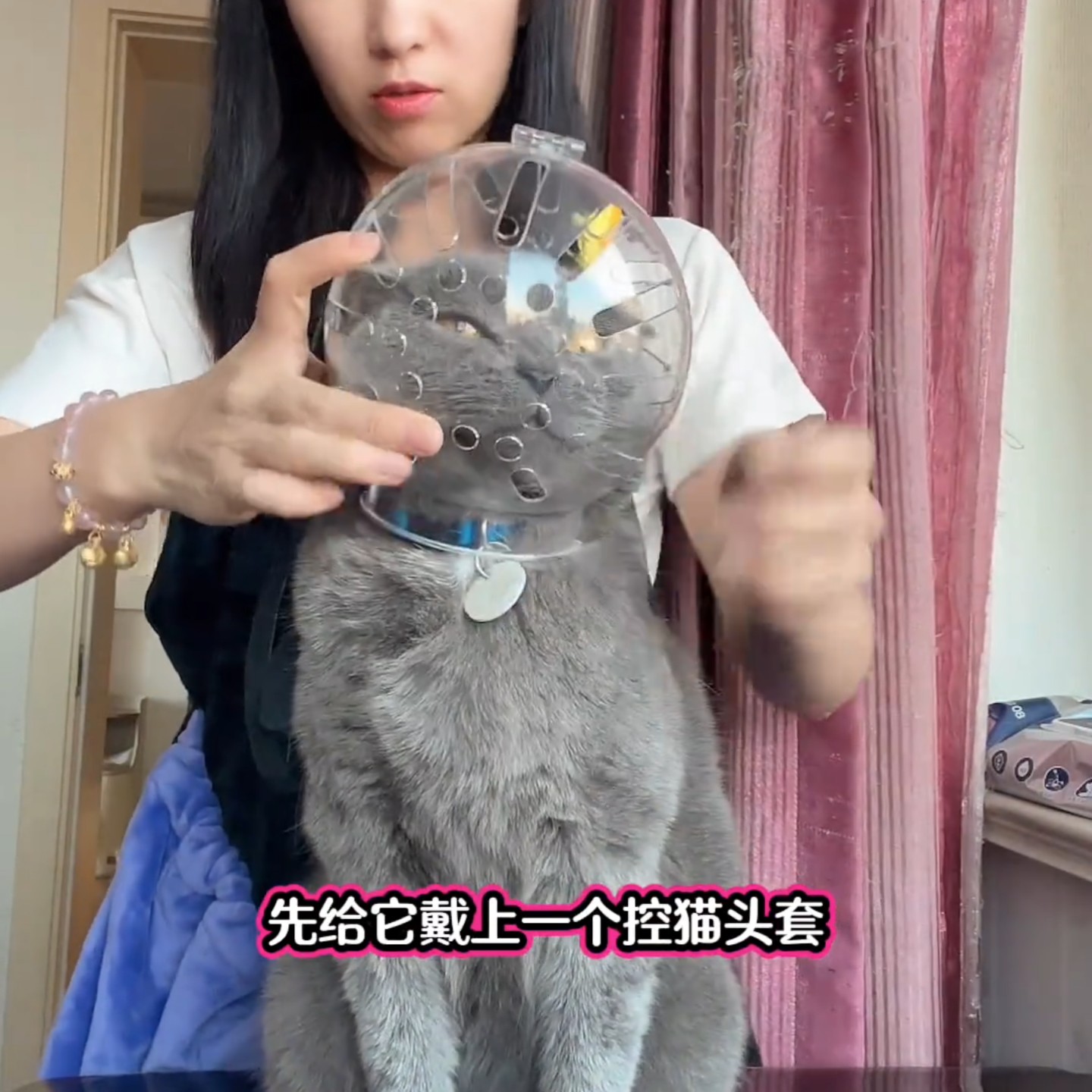 新款猫咪太空头罩防咬透气头套宠物用品保护罩轻便可爱风防护罩子,宠物/宠物食品及用品,宠物伊丽莎白圈,淘宝优惠券,粉丝福利购,淘宝优惠卷