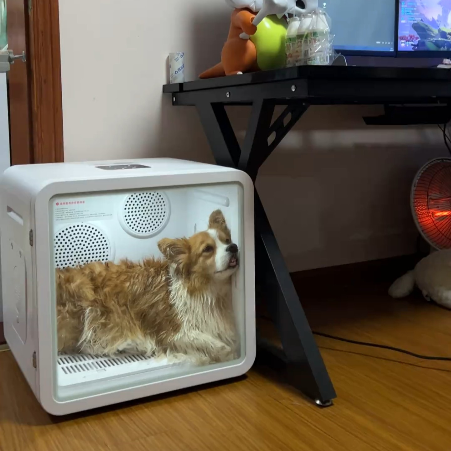 宠物狗狗洗澡静音风干自动烘干箱家用猫狗恒温通用智能吹毛神器,宠物/宠物食品及用品,宠物智能烘干箱,淘宝优惠券,粉丝福利购,淘宝优惠卷