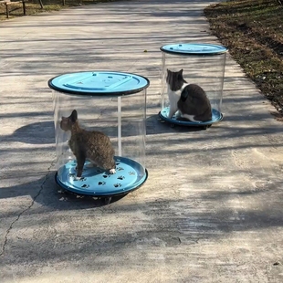 溜猫滚筒神器外出宠物猫社会化训练可拆卸透明猫咪出行箱猫笼子