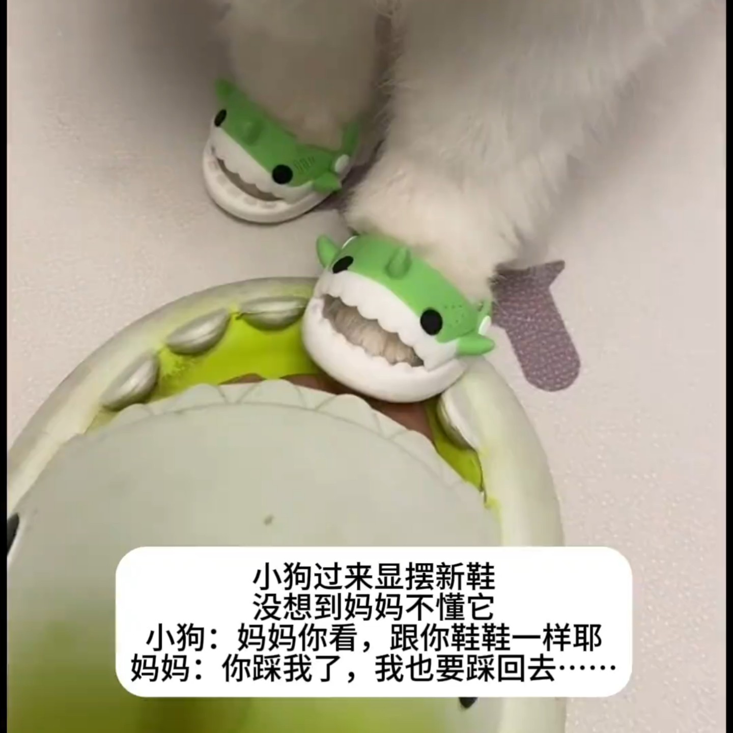 狗狗搞怪可爱鞋子卡通鲨鱼创意趣味搞笑拍照道具宠物鞋配件互动鞋,童鞋/婴儿鞋/亲子鞋,其他鞋配件,淘宝优惠券,粉丝福利购,淘宝优惠卷