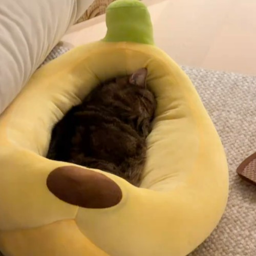 香蕉型PP棉猫狗窝保暖防滑耐磨