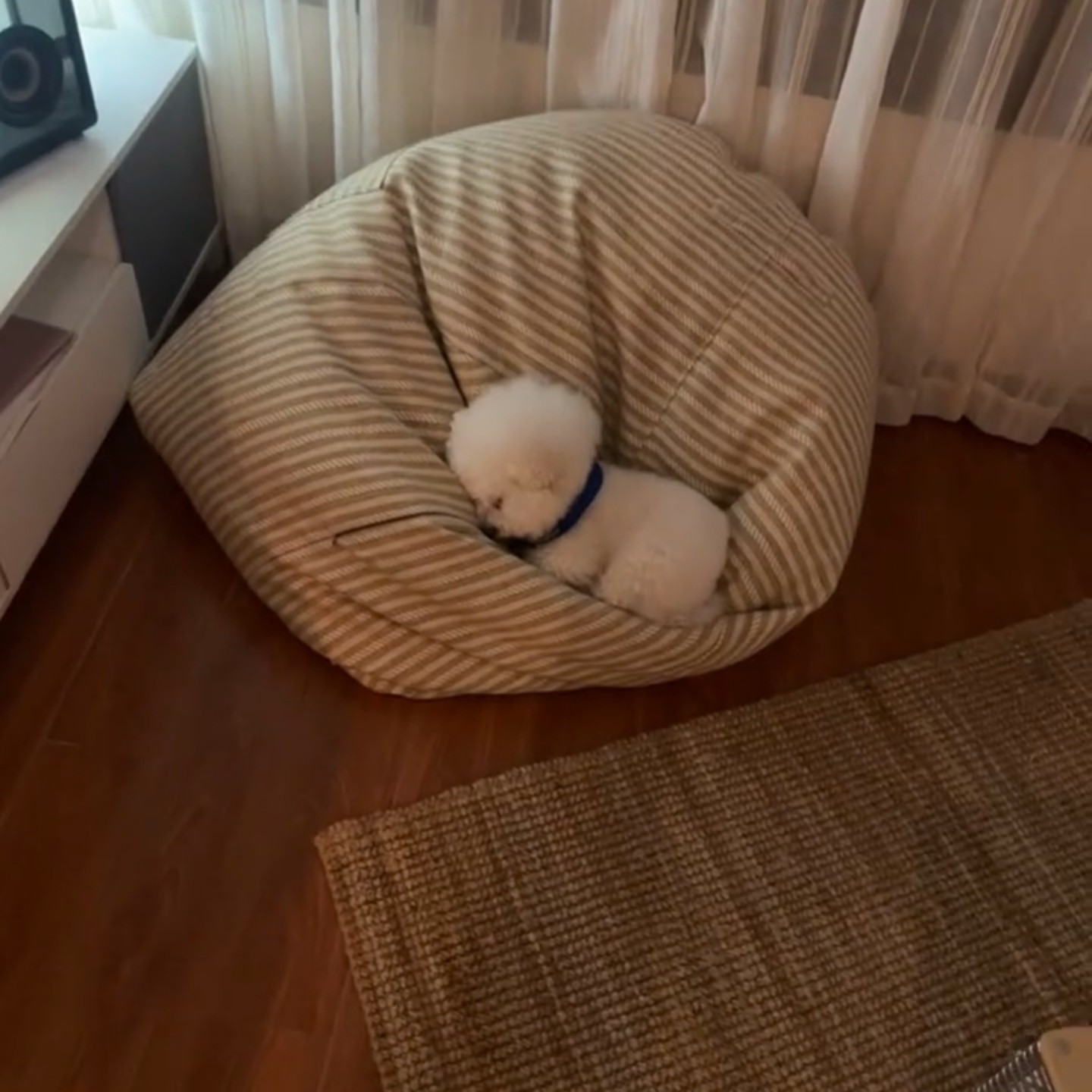 人类狗窝豆袋沙发简约条纹圆形狗狗躺椅舒适室内小型犬宠物用品,宠物/宠物食品及用品,狗窝/屋/帐篷/沙发,淘宝优惠券,粉丝福利购,淘宝优惠卷