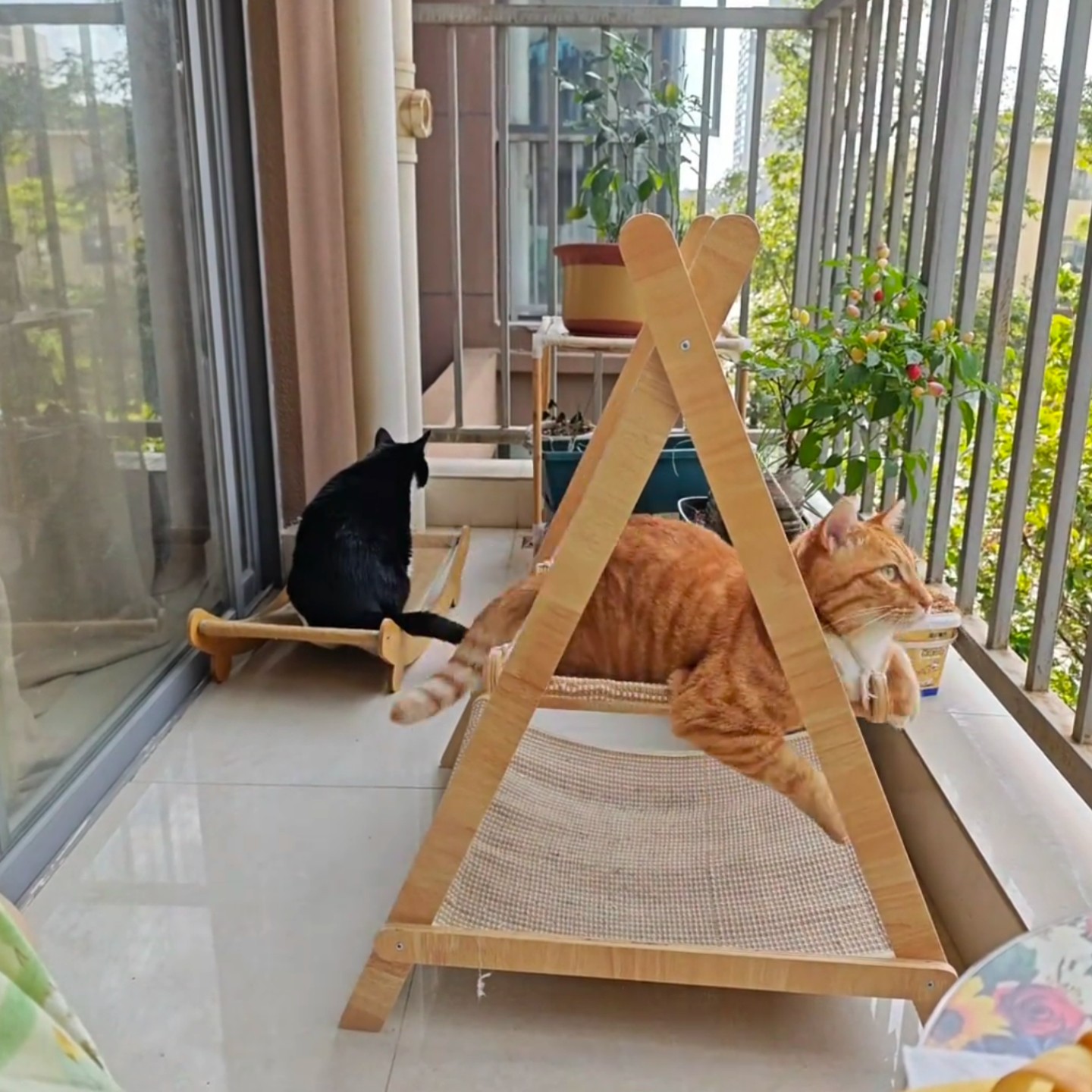 宠物猫双层实木宠物吊床猫咪狗狗休闲悬挂摇床宠物舒适剑麻秋千床