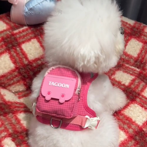 背心式小型犬防挣脱牵引