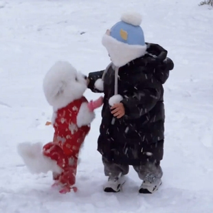 小狗狗红色新年拜服服户外可牵引四脚衣保暖冬季幼犬宠物服装加厚