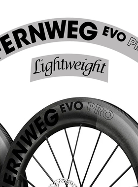 LW轮组贴纸Lightweight Fernweg EVO 63/85碳刀圈公路涂装老王