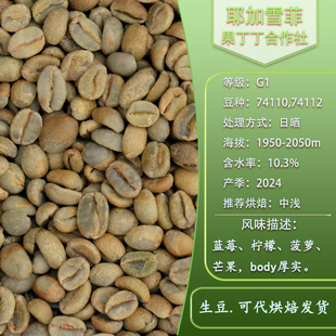 耶加雪菲咖啡生豆班克果丁丁 G1日晒处理 精品咖啡豆进口SOE冷萃