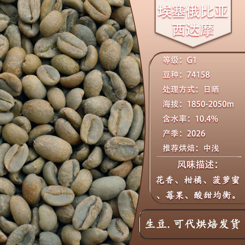 原生种西达摩花果香精品咖啡豆