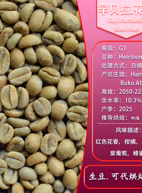 罕贝拉花魁 古吉25新产季G1日晒处理咖啡生豆埃塞俄比亚进口 SOE