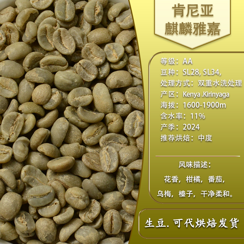 波旁种肯尼亚硬质豆可代烘焙