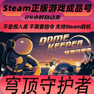 steam正版 穹顶守护者 Dome Keeper 成品号 白号